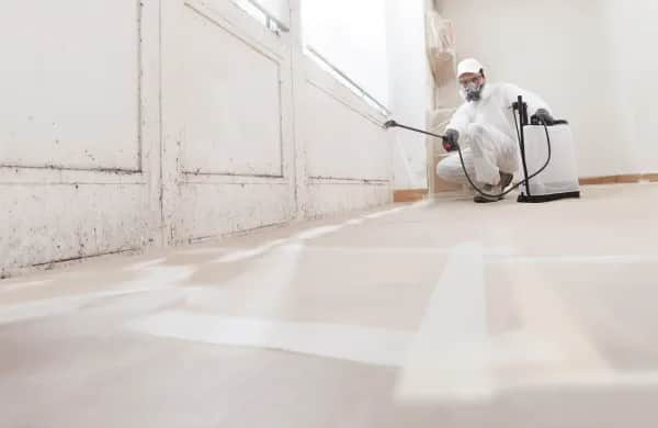 Langfristige Schimmelprävention in Bad Homburg – Professionelle Sanierung buchen