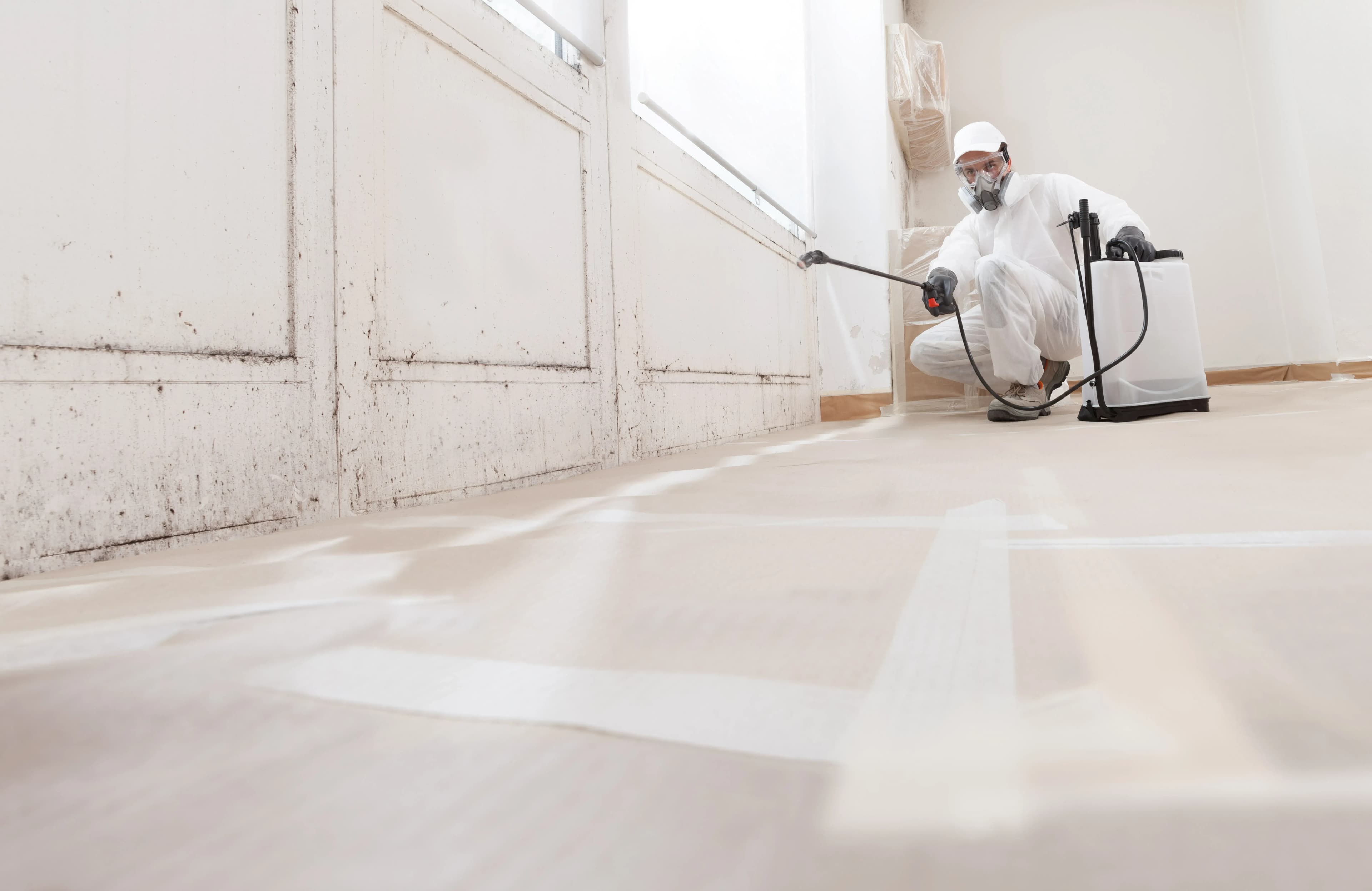 Langfristige Schimmelprävention in Bad Homburg – Professionelle Sanierung buchen
